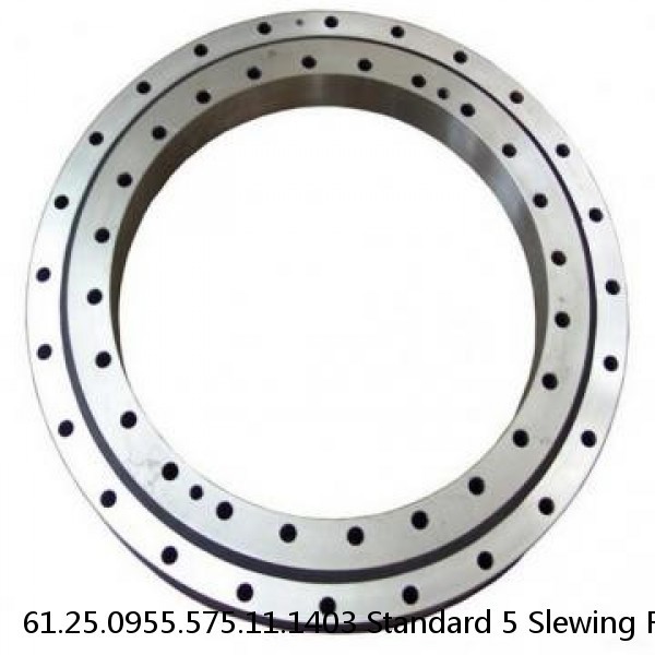 61.25.0955.575.11.1403 Standard 5 Slewing Ring Bearings