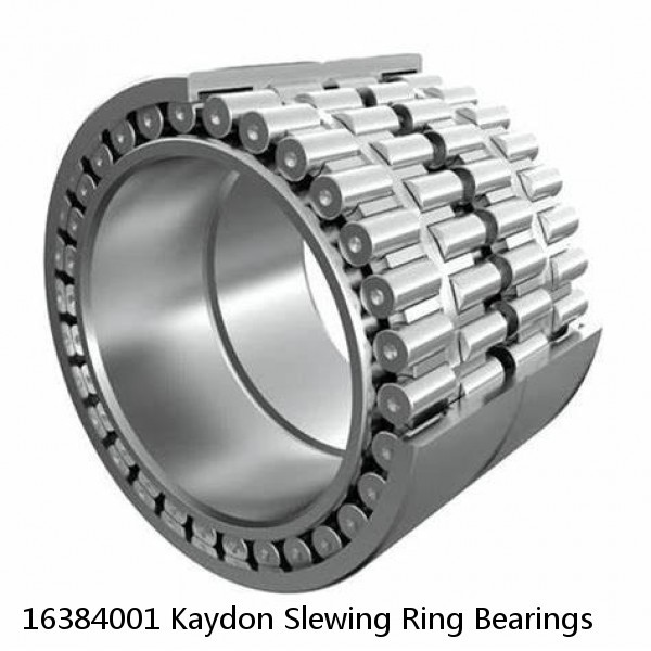 16384001 Kaydon Slewing Ring Bearings