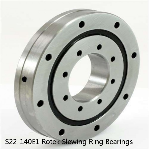 S22-140E1 Rotek Slewing Ring Bearings