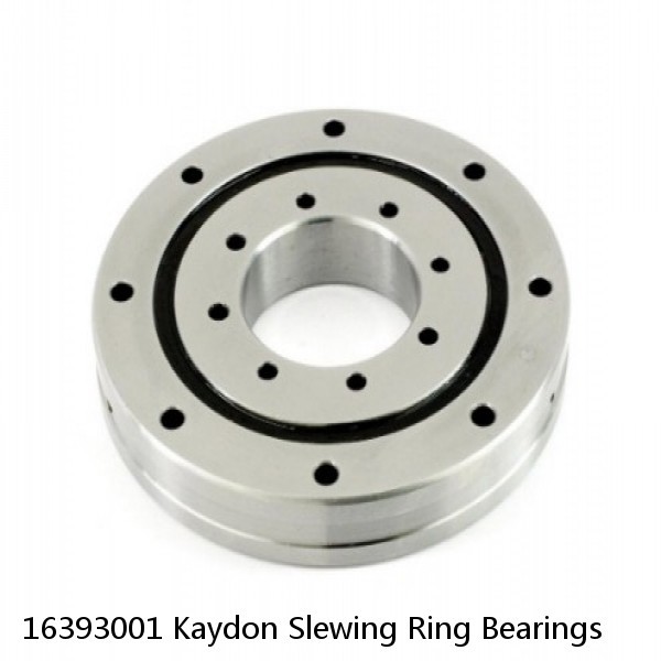 16393001 Kaydon Slewing Ring Bearings