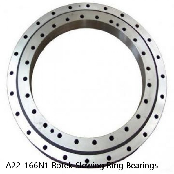 A22-166N1 Rotek Slewing Ring Bearings