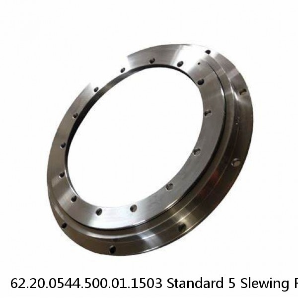 62.20.0544.500.01.1503 Standard 5 Slewing Ring Bearings