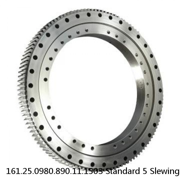 161.25.0980.890.11.1503 Standard 5 Slewing Ring Bearings