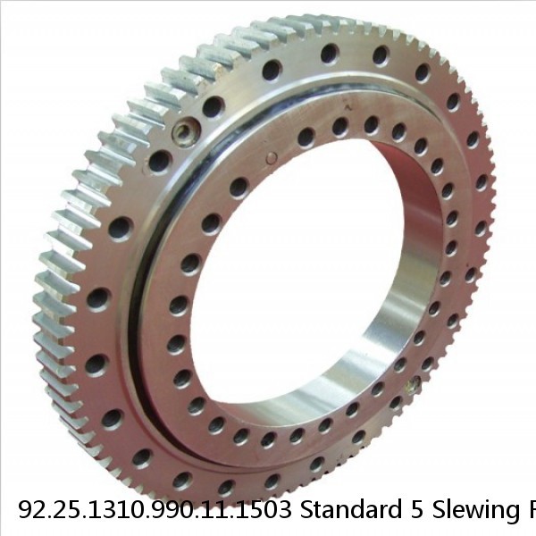 92.25.1310.990.11.1503 Standard 5 Slewing Ring Bearings