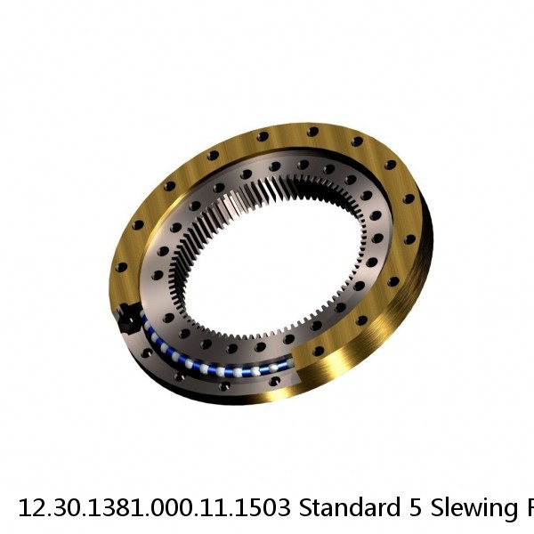 12.30.1381.000.11.1503 Standard 5 Slewing Ring Bearings