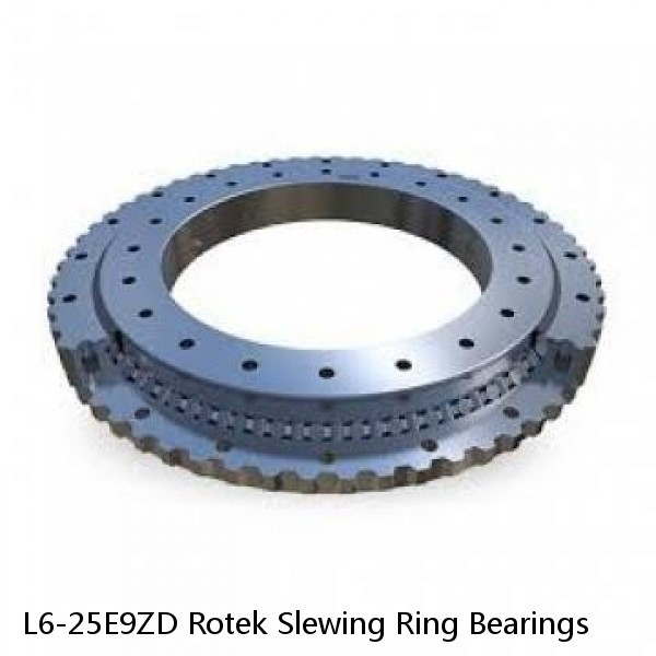 L6-25E9ZD Rotek Slewing Ring Bearings