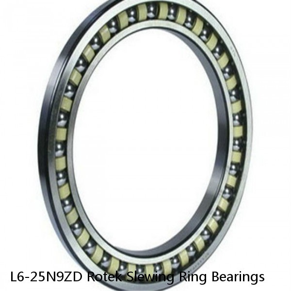 L6-25N9ZD Rotek Slewing Ring Bearings