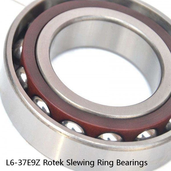 L6-37E9Z Rotek Slewing Ring Bearings