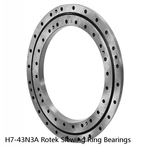 H7-43N3A Rotek Slewing Ring Bearings