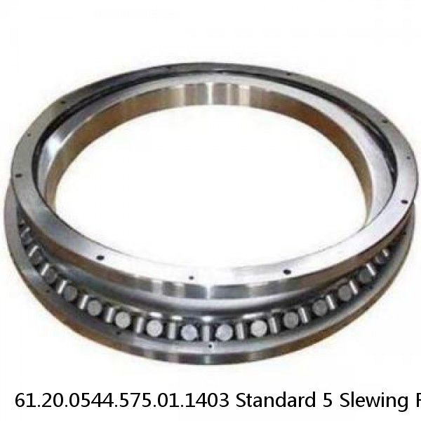 61.20.0544.575.01.1403 Standard 5 Slewing Ring Bearings