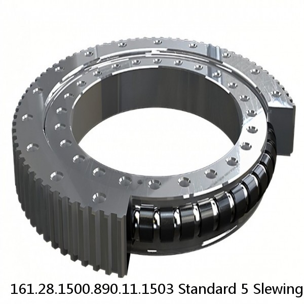 161.28.1500.890.11.1503 Standard 5 Slewing Ring Bearings