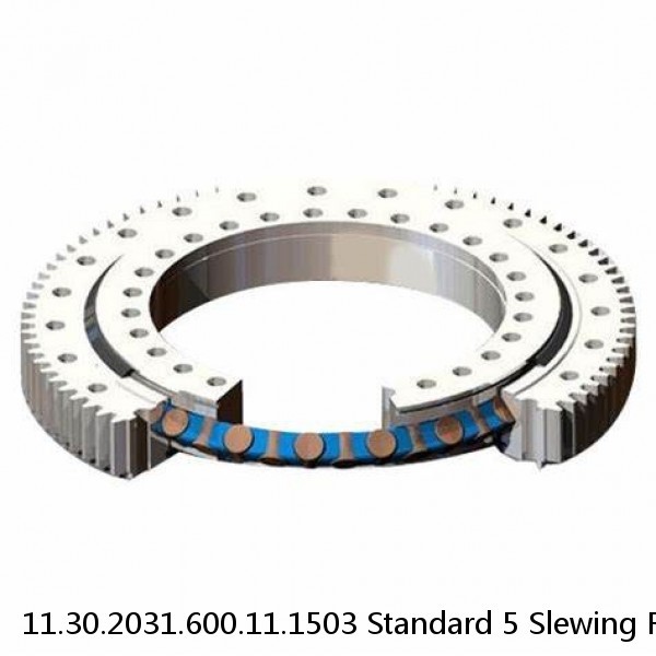 11.30.2031.600.11.1503 Standard 5 Slewing Ring Bearings