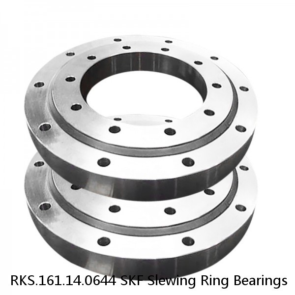 RKS.161.14.0644 SKF Slewing Ring Bearings