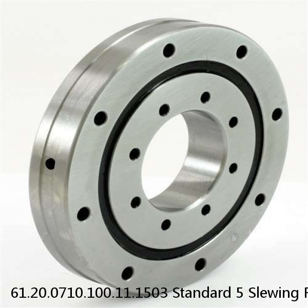 61.20.0710.100.11.1503 Standard 5 Slewing Ring Bearings