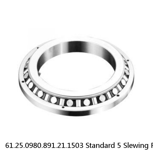 61.25.0980.891.21.1503 Standard 5 Slewing Ring Bearings