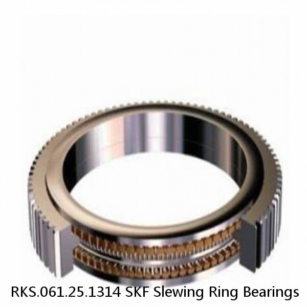 RKS.061.25.1314 SKF Slewing Ring Bearings