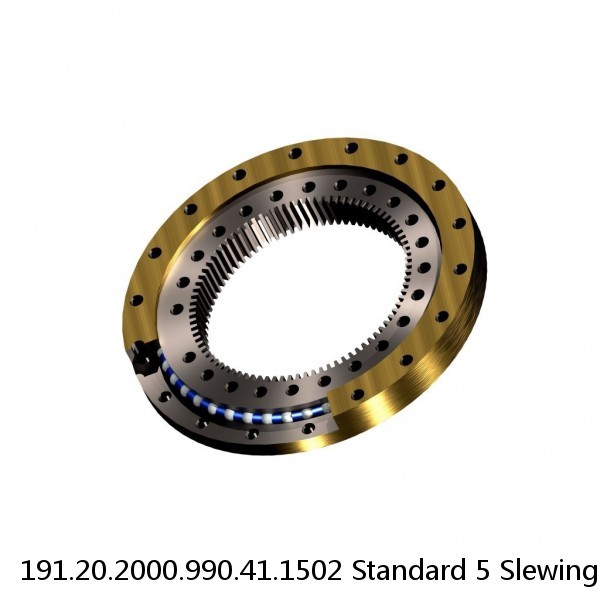 191.20.2000.990.41.1502 Standard 5 Slewing Ring Bearings