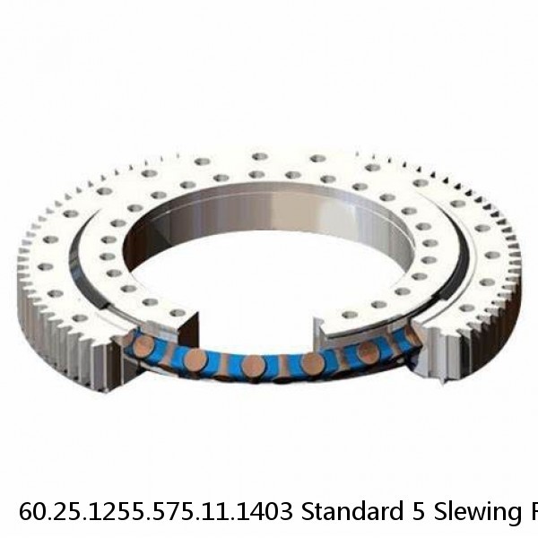 60.25.1255.575.11.1403 Standard 5 Slewing Ring Bearings