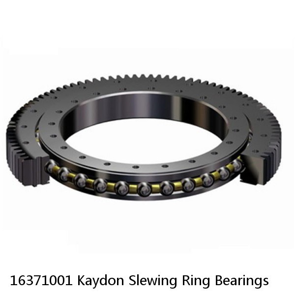 16371001 Kaydon Slewing Ring Bearings