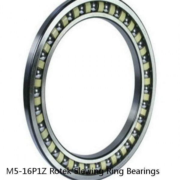 M5-16P1Z Rotek Slewing Ring Bearings