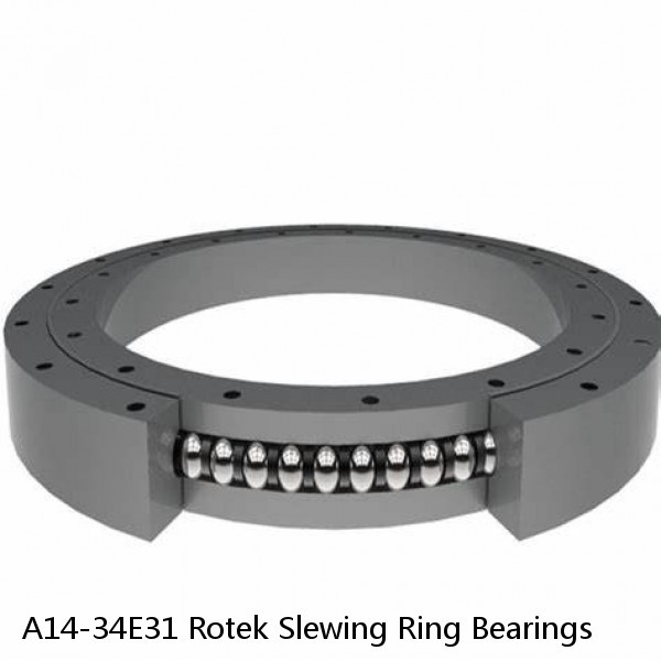 A14-34E31 Rotek Slewing Ring Bearings