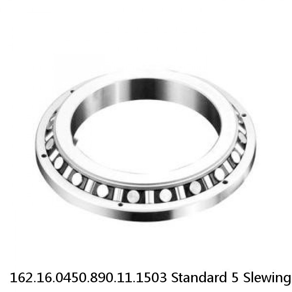 162.16.0450.890.11.1503 Standard 5 Slewing Ring Bearings