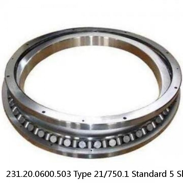 231.20.0600.503 Type 21/750.1 Standard 5 Slewing Ring Bearings