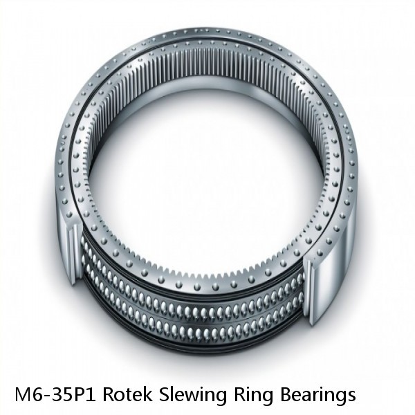 M6-35P1 Rotek Slewing Ring Bearings