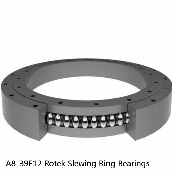 A8-39E12 Rotek Slewing Ring Bearings