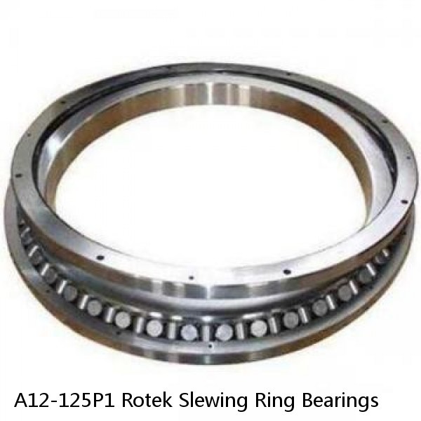 A12-125P1 Rotek Slewing Ring Bearings