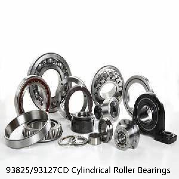 93825/93127CD Cylindrical Roller Bearings