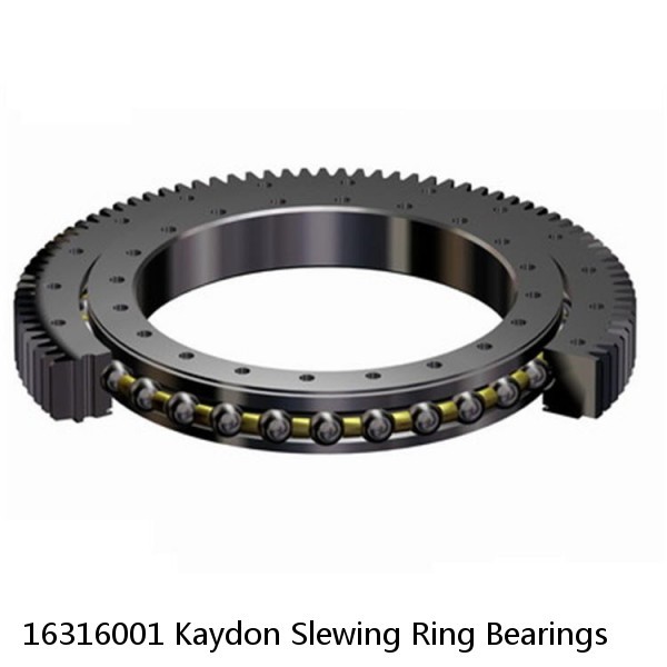 16316001 Kaydon Slewing Ring Bearings