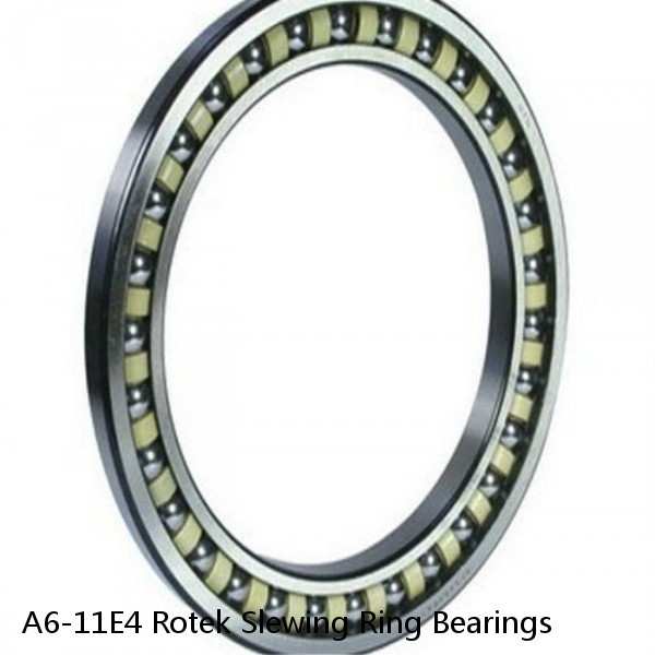 A6-11E4 Rotek Slewing Ring Bearings