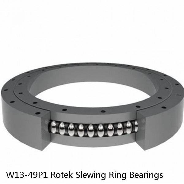 W13-49P1 Rotek Slewing Ring Bearings