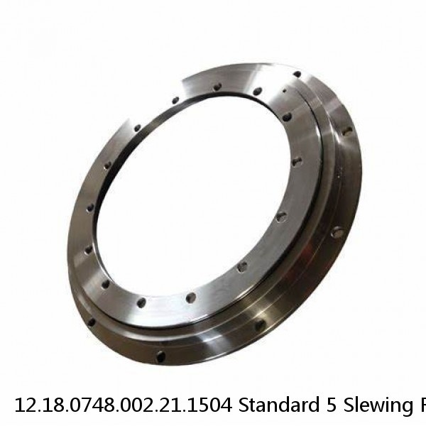 12.18.0748.002.21.1504 Standard 5 Slewing Ring Bearings