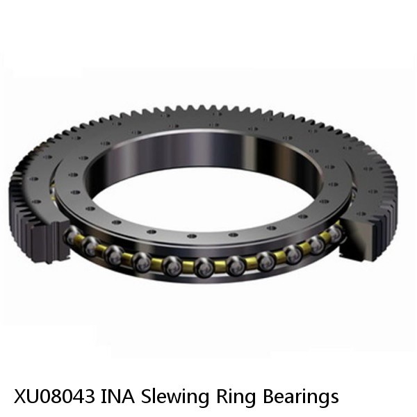 XU08043 INA Slewing Ring Bearings