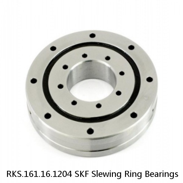 RKS.161.16.1204 SKF Slewing Ring Bearings