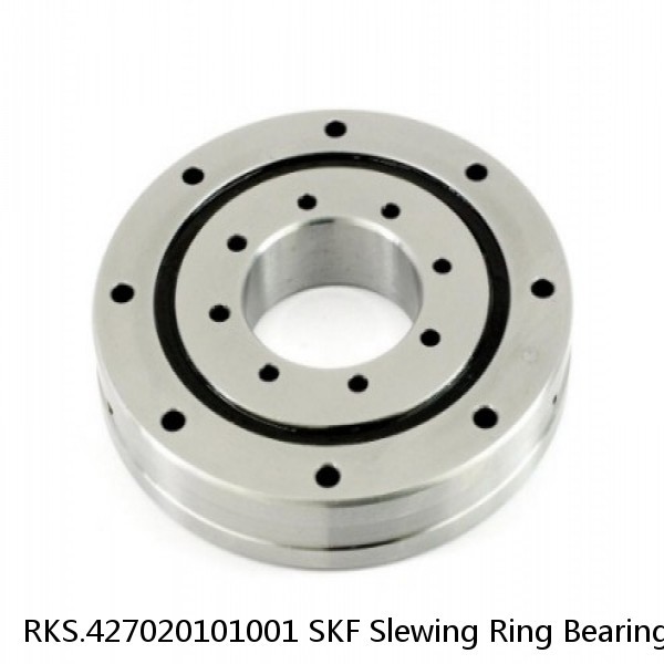 RKS.427020101001 SKF Slewing Ring Bearings