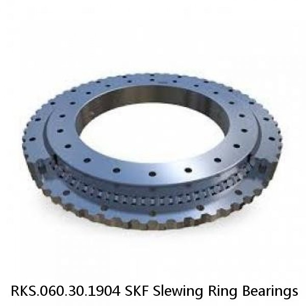 RKS.060.30.1904 SKF Slewing Ring Bearings