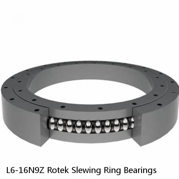 L6-16N9Z Rotek Slewing Ring Bearings