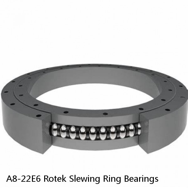 A8-22E6 Rotek Slewing Ring Bearings