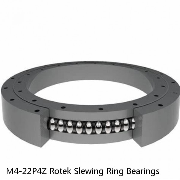 M4-22P4Z Rotek Slewing Ring Bearings