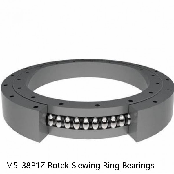 M5-38P1Z Rotek Slewing Ring Bearings