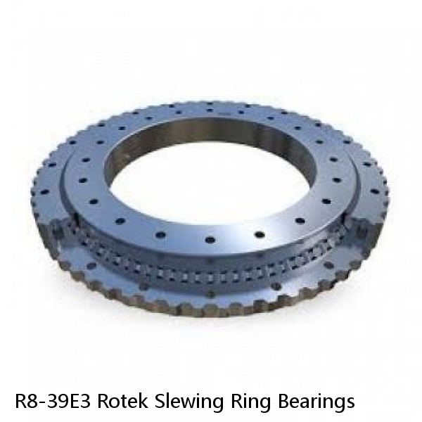 R8-39E3 Rotek Slewing Ring Bearings