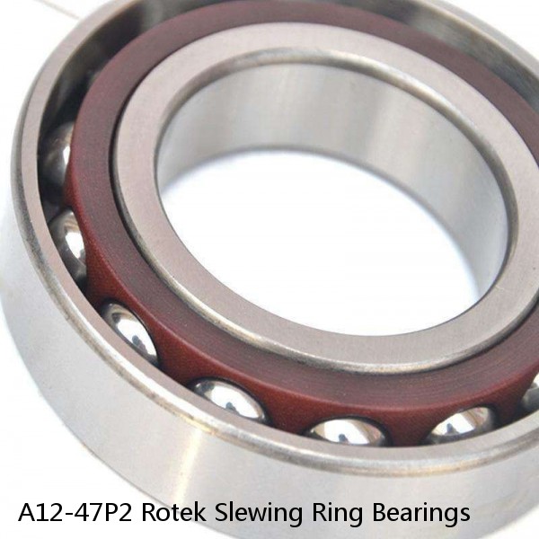 A12-47P2 Rotek Slewing Ring Bearings