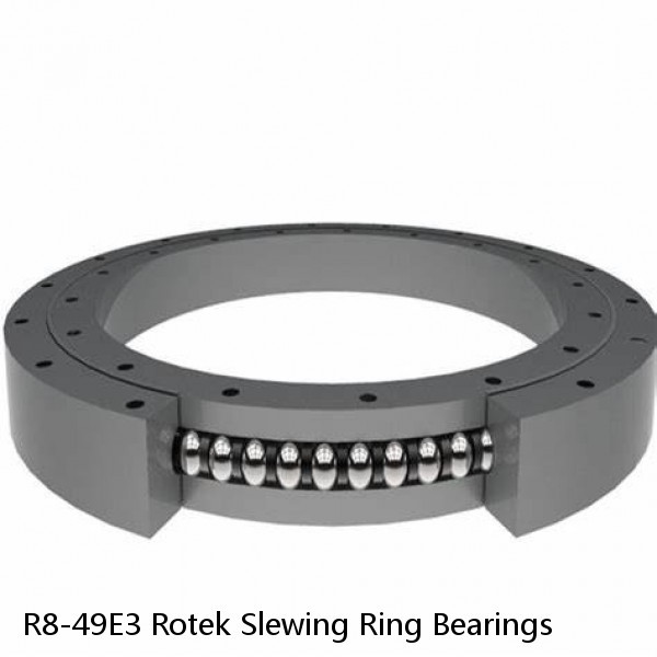 R8-49E3 Rotek Slewing Ring Bearings