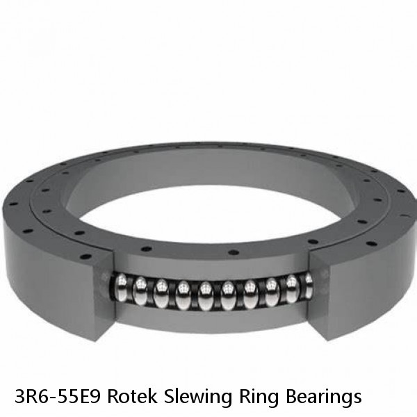 3R6-55E9 Rotek Slewing Ring Bearings