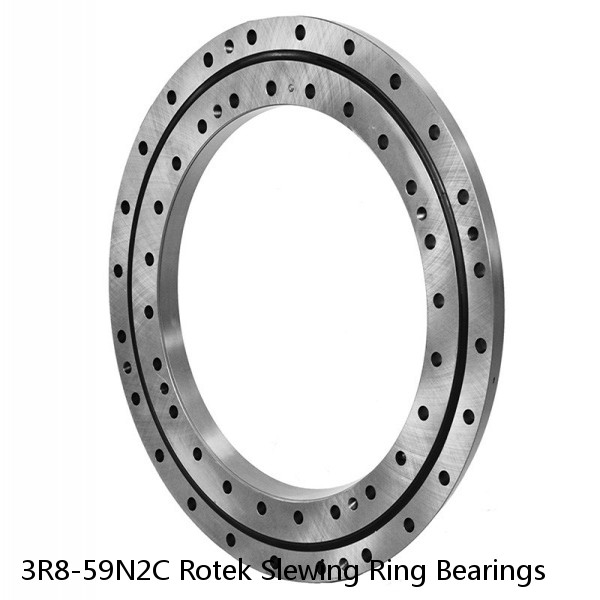 3R8-59N2C Rotek Slewing Ring Bearings