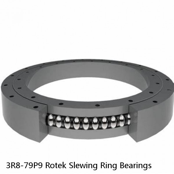 3R8-79P9 Rotek Slewing Ring Bearings