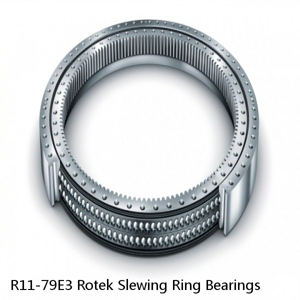 R11-79E3 Rotek Slewing Ring Bearings